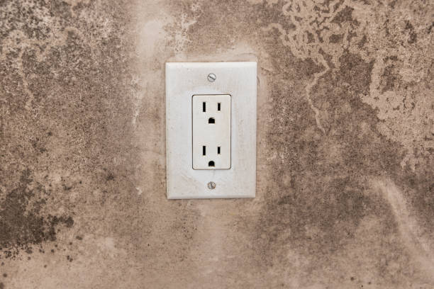 Best Residential Mold Inspection & Testing  in Niverville, NY